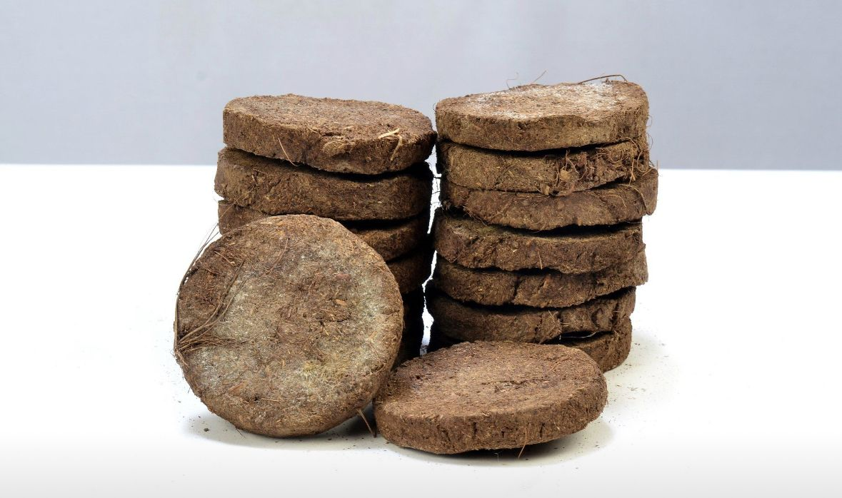 Cow Dung Cakes